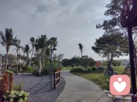 鸟儿不懂什么叫坚持，它只管唱，唱到晨雾散尽，唱到回音填满整片山谷。你也是，只管出发。配图