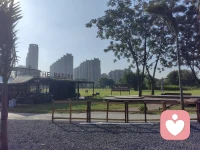 昨夜的星子还在梦里眨眼，今朝的云已铺开十里长卷——等你落笔，写今天的名字。早安！配图