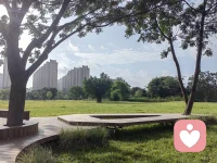 晨光推开夜的栅栏，放出一群金色的马匹，你可以骑上其中一匹，去追今天的第一朵云。配图