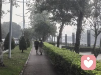 真正的陪伴不是并肩看同一片风景，而是你看向左边时，我正好在；你回头时，我还在。