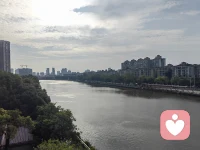今天的努力，是明天最硬的底气。早安，把平凡的日子过成向上的阶梯！