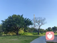 晨光正好，微风不燥，愿你带着热爱与坚定，把今天过成想要的样子。早安，万事胜意！