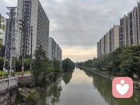 早安。允许自己偶尔脆弱，但永远不要放弃对光的向往。