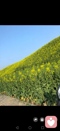 春天适合开花，我们适合开心！