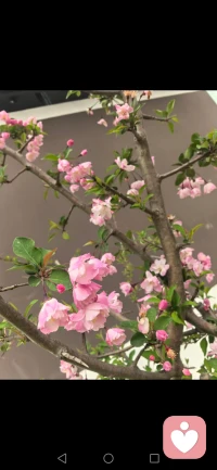 春天适合开花，我们适合开心！