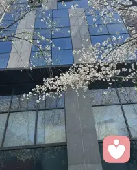 只要在变好的路上 慢一点又何妨