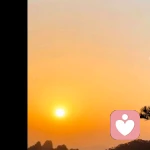 期望鲸落之花的头像