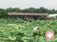 同频者，山海皆可赴。异路者，迟迟不相逢。人终其一生找一个能聊得来和懂你的人。配图