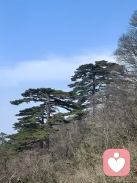 孤独，你享受它就是自由，你在意它就是寂寞。记得每天要对着镜子微笑哦。配图