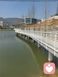 做你的树洞，用心倾听，保密安全配图