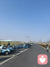 一个人孤单两个人烦恼，人在每种状态下都会有好有坏，挑你最得劲的过就好，开心最是骗不了人配图