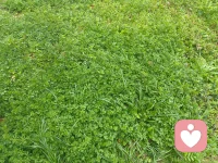 现在很多人想找人说话却又无处找人说话，通讯录微信划拉一圈还是无从找起，现实中人利益关系牵扯，又想找人听又怕别人听，但有些事又不吐不快，人的情绪是一定要有出口才能找回平衡，所以倾听者看似平凡却又不平凡，每一次倾听就是洗去心灵尘埃，拂掉疲惫和纷扰配图