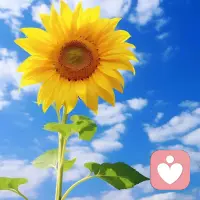 如果你的精气神来了，那就动起来抓紧干事吧配图