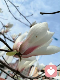 爱上一个人只需要一眼，放下一个人或许要一生配图