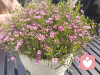 愿意倾听各种心声，无论你是开心着想分享还是伤心着想倾诉，作为一个有阅历的过来人，没有高大上的教条只愿陪你一起真心感受各种经历故事配图