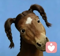 马年不一定马到成功
但，可以放自己一马
马年不一定策马扬鞭也可以，走马观花!