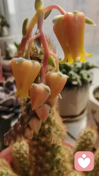 不必苛求自己的完美，你已经很棒了。与自己和解，是一生的功课！