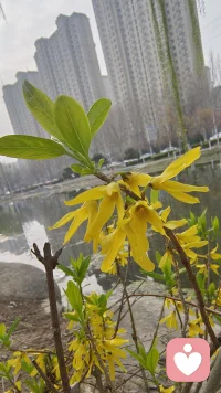 时间推着我们往前走
回忆拽着我们回头看
---中间这一段，就叫故事...配图