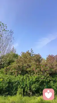 成熟的爱不是拼命抓住，而是懂得松手。知道他有离开的自由，却依然坚信他会留下来的笃定。