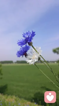 好的感情是彼此成就，而非相互消耗。你在他眼里看到光芒，他在你身上找到力量，这才是爱情最该有的模样。配图