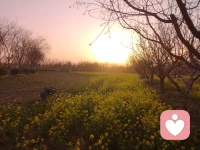 鱼和熊掌不可兼得！！！