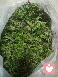 💐弄了一个半小时的成果，你看一张是摘过的荠菜，一张是没有摘过的。
你摘的时候或许会很累，但你心里想的是：我一会可以吃到美味了。
但对于荠菜来说，你摘的是他一片片努力长出来的叶子。他会疼，但不会因为你摘了就不再长。
人和人之间，有时候也像这样。
你喜欢他，对你来说是美味；你不喜欢，他就不美味。但他还是荠菜，不会因为你的情绪而改变。
所以，不必强求别人成为你喜欢的味道，也不必为了别人的喜好改变自己。
允许他是他，允许你是你。
时间不早了，今天再见，明天你好🌻🌿配图