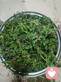 💐弄了一个半小时的成果，你看一张是摘过的荠菜，一张是没有摘过的。
你摘的时候或许会很累，但你心里想的是：我一会可以吃到美味了。
但对于荠菜来说，你摘的是他一片片努力长出来的叶子。他会疼，但不会因为你摘了就不再长。
人和人之间，有时候也像这样。
你喜欢他，对你来说是美味；你不喜欢，他就不美味。但他还是荠菜，不会因为你的情绪而改变。
所以，不必强求别人成为你喜欢的味道，也不必为了别人的喜好改变自己。
允许他是他，允许你是你。
时间不早了，今天再见，明天你好🌻🌿配图