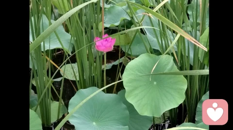 心外无物:所有关系都是与自己的对峙