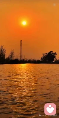 赏一朵花，看一处风景，听一首音乐，身边片片是风景，处处是美好配图