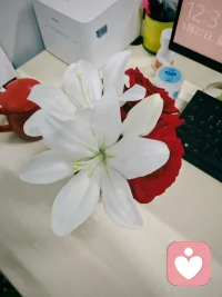 学会在自己的世界里独善其身、孤芳自赏，在别人的世界里随遇而安、顺其自然配图