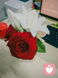学会在自己的世界里独善其身、孤芳自赏，在别人的世界里随遇而安、顺其自然配图