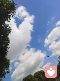 曾经的你，不知道为何天道无常，世事不公，而现如今，你终于不再自困于命运的枷锁，明白大道至简，唯有自渡。愿你从此不再乞求天地的怜悯，而是做那个在暴风雨中勇敢奔跑的追光者，以一身傲骨撑起属于自己的公道，以一颗智慧之心在这变幻无常的尘世间乘风破浪，哪怕身如”刍狗“也要活出万马奔腾的气势，哪怕命如蝼蚁也要在此生写下波澜壮阔的篇章！《道德经》配图