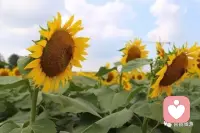 饭要和投缘的人吃，话要和同频的人说。情绪很贵，要接近让你愉快的人，时间很贵，要和懂你的人去相处。任何消耗你的人或事，都送上三个字：断舍离。配图
