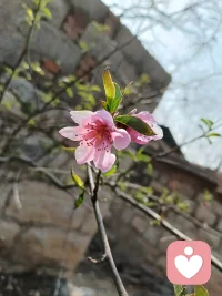 有一种孤独是没人听得懂你的话！配图