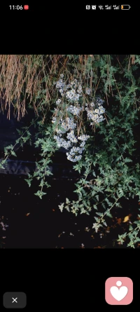 现在的状态，不是不开心，也不是难过，就是一种淡淡的无能为力和麻木，真的是应了那句话风水轮流转……配图