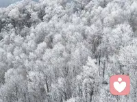 命里有时终须有，命里无时莫强求配图