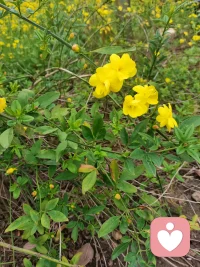 物物不物于物，念念不念于念。心理健康的最终手段是努力提升并完善自己的思维方式。
