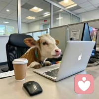 职场再忙，也别弄丢了自己。
加班、内卷、焦虑、内耗，都不是生活的全部。
你可以不优秀，可以不坚强，可以偶尔脆弱。
累了就倾诉，痛了就休息。
我愿做那个安静的倾听者，
陪你慢慢卸下压力，找回温柔的自己。