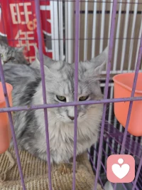 抑郁从不是矫情，是身心在发出疲惫的信号，允许自己低落，也是善待自己的开始。配图