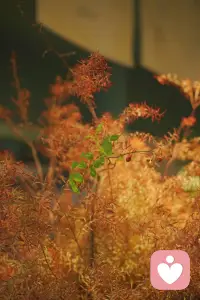 今天从健身房走出来，，感觉好舒爽，松弛，自由，自律，不为生存而奔波，不被物欲而裹挟，不被社会标准定义。
昨天张雪峰突然离世年仅41岁，跟我同年，让我陷入沉思，人是突然死去的。要重视身体发出的警示，愿大家都能放过自己，善待自己，累了就停下来休息。不匆忙赶路，慢慢感受路。配图