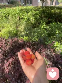 日子像翻书，一页页，不知不觉就翻过了大半本。年轻时总觉得人生是做加法，要见识，要拥有，要热烈，要把日程表填得密不透风，把心房塞得满满当当。我们追着许多东西跑，以为多就是好，满便是足。

可走到了某个岔路口，或许是某个安静下来的清晨，或许是经历了一场不大不小的风波，你忽然感到一种疲惫。不是身体的累，而是心上负了重。环顾四周，才发现生活早已在不知不觉中，堆积了太多不必要的冗杂。像一间多年未彻底清扫的屋子，有用的、没用的，珍贵的、琐碎的，全都蒙着一层时光的灰，挤挤挨挨，让人透不过气。

这时候才恍然明白，人生下半场最好的活法，或许不再是获取，而是清理。

“化繁为简”，简掉的首先是无谓的物欲。年轻时总想用物件来证明、来填充，到了现在才懂，真正的丰盈不在于拥有多少，而在于留下的那几样，是否件件真心喜欢，样样常伴左右。清理掉堆积的旧物，也是清理内心被物占有的空间。屋子空了，窗明几净，阳光才能毫无阻碍地洒进来，风才能自在地穿堂而过。心也跟着亮了，静了。

“简”，更是指向纷繁的人际。曾经忙于经营，总怕怠慢了谁，疏远了哪条路。如今却更愿意把宝贵的时间、所剩无多的热情，留给那么几个真正在意、相处不累的人。退出那些喧嚣却无谓的场合，淡出那些热闹却耗神的关系。圈子小了，人淡了，情谊反而深了，真了。就像把好茶留给懂它的人品，把真心话只说给值得的人听。

最重要的简化，是在内心。开始学着分辨，什么事值得全力以赴，什么事可以一笑而过；什么话值得放在心上，什么话只当过耳清风。不再试图取悦所有人，不再为遥远的将来过度焦虑，也不再为无法改变的过去反复纠缠。把注意力收回来，放在当下具体的、能让自己感到平和与喜悦的小事上——照料一盆花草，读完一本好书，为家人准备一顿用心的晚餐，或者只是安静地看一场日落。

这“化繁为简”的能力，不是消极的退缩，而是一种主动的选择与成熟的智慧。是看清了生活的本质后，为自己做的一份清醒的取舍。它让我们从外在的、他人的标准中解脱出来，回归到自身最真实、最舒适的状态。

走到人生下半场，肩上的行囊需要重新整理。卸下那些不必要的身外之物，放下那些无谓的执念与负担，日子才会变得轻盈，脚步才能重新轻快。当生活变得简洁而清晰，心灵才有足够的空间，去盛放真正重要的东西：安宁，自由，与那些朴素却恒久的温暖。

简化，是为了更好地看见。看见自己，看见所爱，看见生活本身，那洗尽铅华后，朴素而