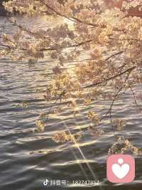 生活是自己的，千万别为难自己，
有什么样的能力，就过什么样的生活，
尽力而为，量力而行。
 
做个温暖的人，有自己的喜好，
有自己的原则，有自己的信仰。
 
用顺其自然的态度，过随遇而安的生活。
 
余生，站在属于自己的高度，看该看的风景。配图