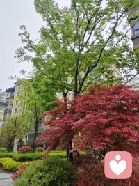 💗接纳与被接纳之间，还有着微妙的感觉——假接纳！不愿被假接纳裹挟，那便是您开启的自我探索之旅👍配图