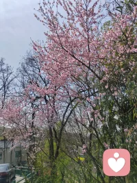 👂倾听的意义在于：和谁说，比说什么更有意义⭐️配图