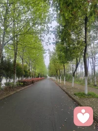 #家庭教育
       再多的物质条件也填补不了孩子心灵深处的空洞感，有时心里贫穷比物质贫穷更可怕！配图