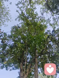 那是风一样的自由💗