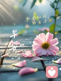 ✨早安！树洞常驻，随时可依💕