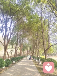 不内耗的秘诀：自检发心🙏