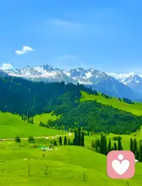✨世界万般热闹，总有人需要安静的树洞💖配图