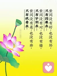 万法皆空，唯因果不空！